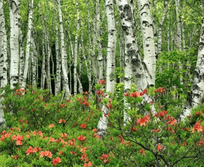 世界拳击公开赛：角落调度影响整场比赛，世界拳击2020视频