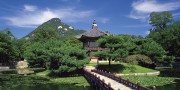 J联赛的“地域扎根”：俱乐部与社区的深度绑定
