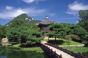 J联赛的“地域扎根”：俱乐部与社区的深度绑定