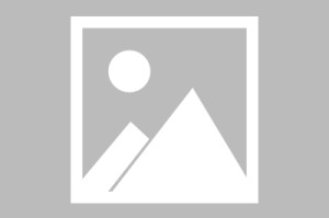 世界帆船赛事海上救援联合演练第三方评估，帆船比赛世界排名